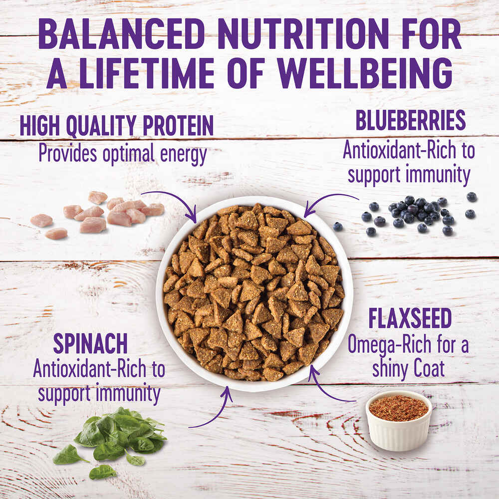 Wellness Complete Health Small Breed Adult Turkey & Oatmeal Recipe Dry Dog Food