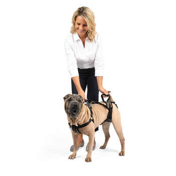PetSafe CareLift Full Body Support Dog Lifting Harness Medium