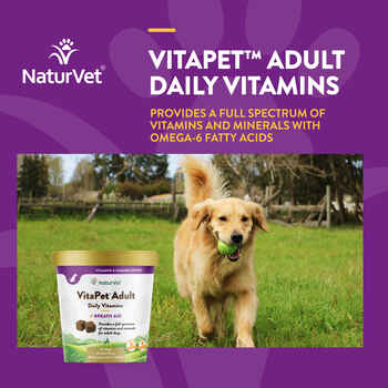 NaturVet VitaPet Adult Daily Vitamins Plus Breath Aid Supplement for Dogs Soft Chews 60 ct