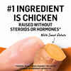 Purina Beyond Grain-Free Chicken & Sweet Potato Pate Recipe Wet Cat Food 3 oz Can - Case of 12