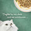 Fancy Feast Medleys White Meat Chicken Tuscany Wet Cat Food 3 oz. Cans - Case of 24