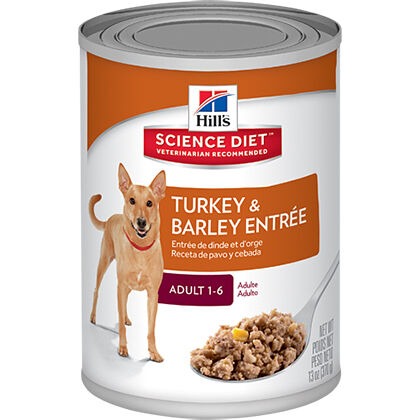 hills science dental dog food