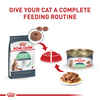 Royal Canin Feline Care Nutrition Digestive Care Thin Slices In Gravy Adult Wet Cat Food - 3 oz Cans - Case of 12 