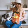 Earthborn Holistic Primitive Feline Grain Free Dry Cat Food 14 lb Bag