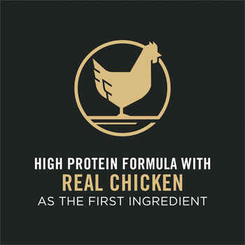 Purina Pro Plan Senior Adult 7+ Complete Essentials Shredded Blend Chicken & Rice Formula Dry Dog Food 6 lb Bag
