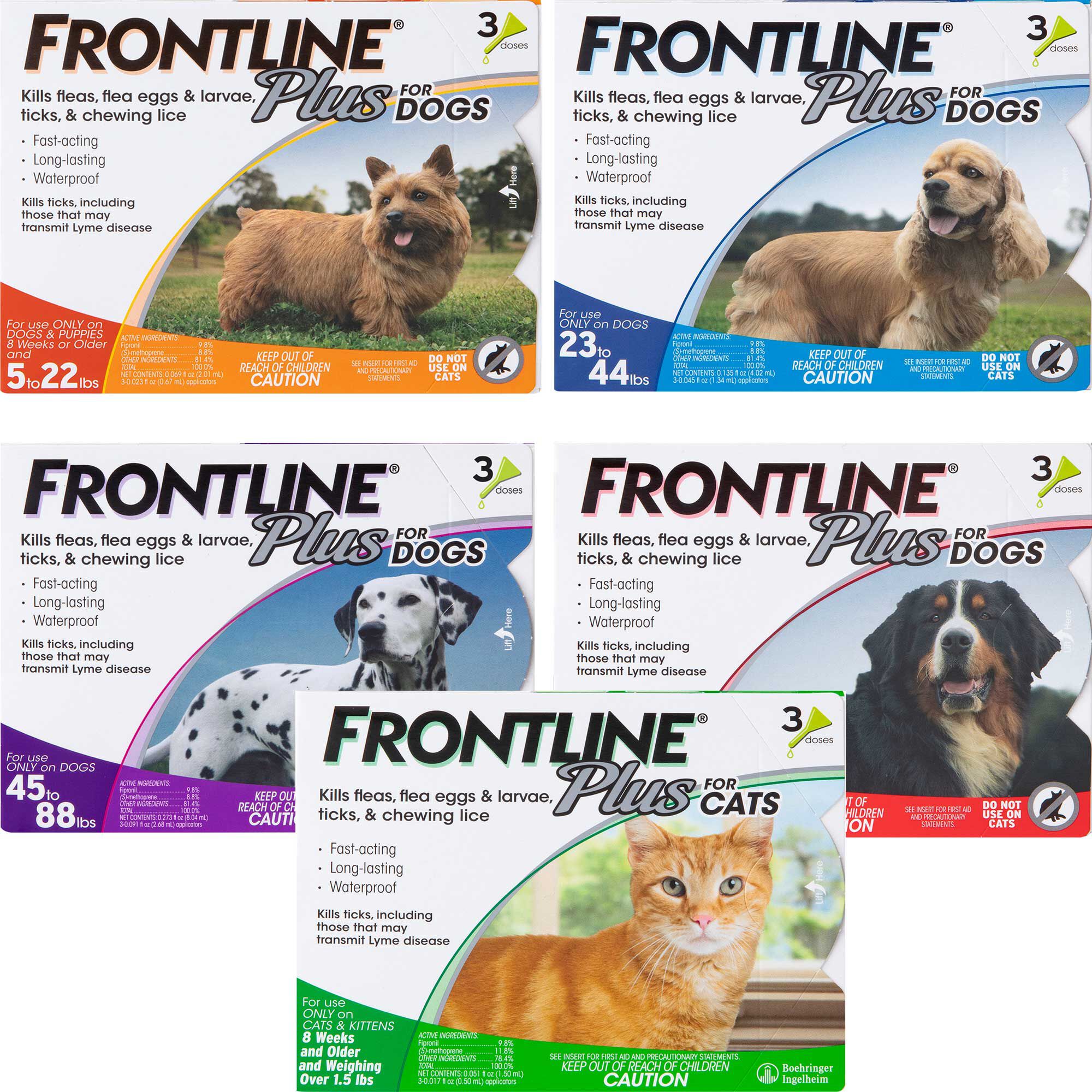 frontline flea drops for cats