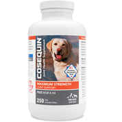 Nutramax Cosequin Maximum Strength Joint Health Supplement for Dogs - With Glucosamine, Chondroitin, MSM, and Hyaluronic Acid 250 Chewable Tablets