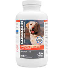 Nutramax Cosequin Maximum Strength Joint Health Supplement for Dogs - With Glucosamine, Chondroitin, MSM, and Hyaluronic Acid-product-tile