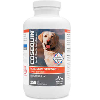 Cosequin Maximum Strength Plus MSM & HA Chewable Tablets 250 ct product detail number 1.0