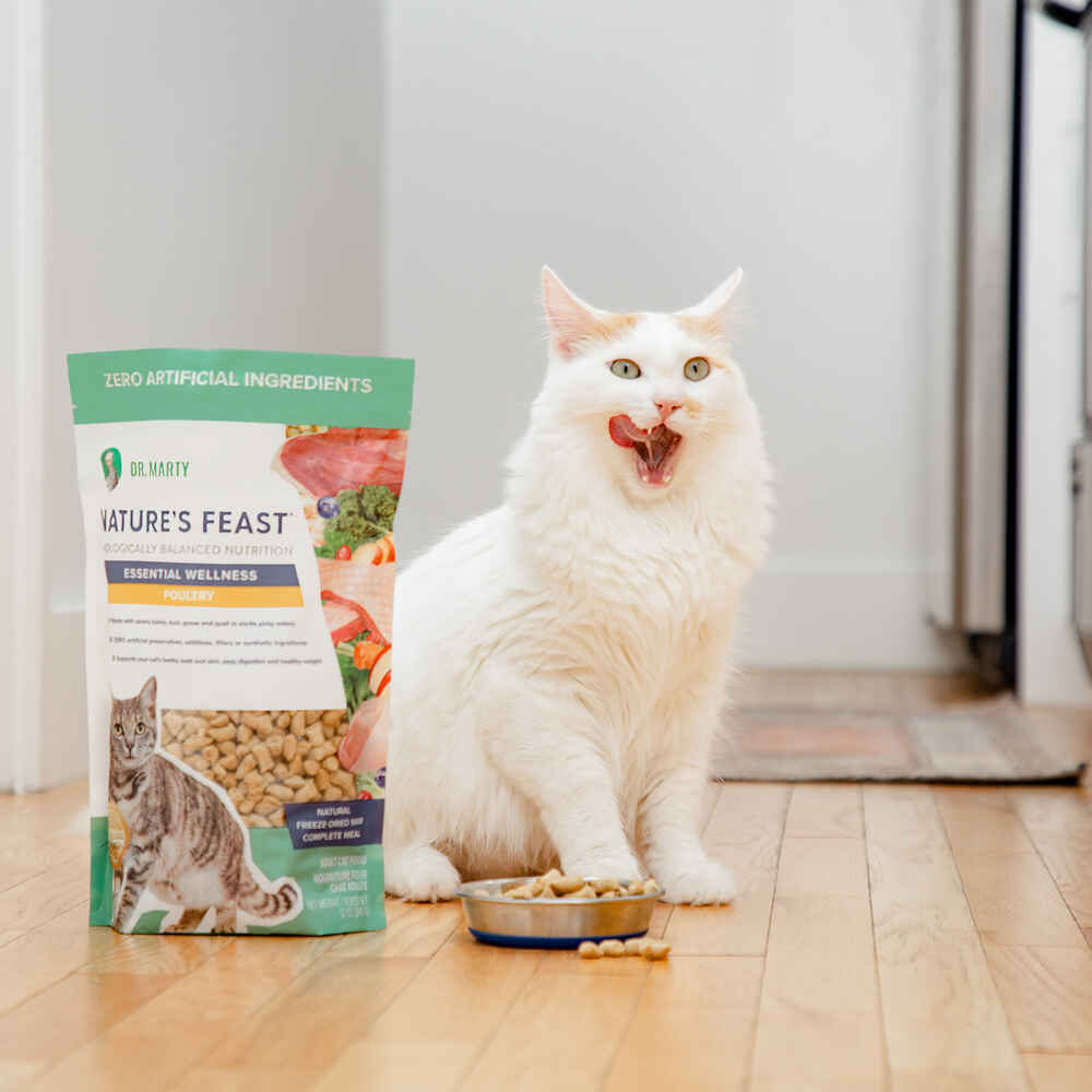 Dr. Marty Nature's Feast Essential Wellness Poultry Premium Freeze-Dried Raw Cat Food