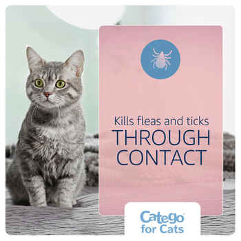 Catego for Cats Over 1.5 lbs 3 Pack