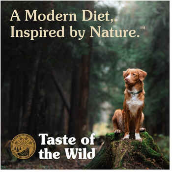 Taste of the Wild Ancient Prairie with Ancient Grains Buffalo Dry Dog Food