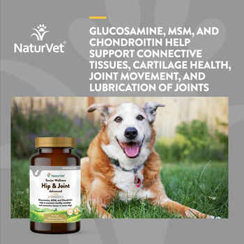 NaturVet Senior Wellness Hip and Joint Plus Omegas Advanced Supplement for Dogs Time Release Chewable Tablets 40 ct