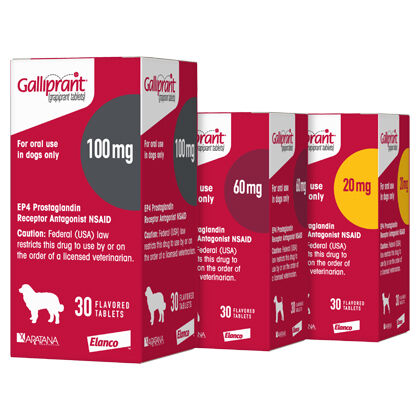 galliprant 60 mg costco