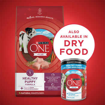 Purina ONE +Plus Classic Ground Healthy Puppy Lamb & Long Grain Rice Entree Canned Dog Food 13-oz can, case of 12