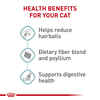 Royal Canin Feline Care Nutrition Hairball Care Dry Cat Food