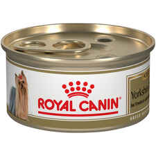 Royal Canin Breed Health Nutrition Yorkshire Terrier Adult Loaf in Sauce Wet Dog Food-product-tile