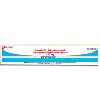 Amoxicillin Trihydrate and Clavulanate Potassium Tablets 250 mg (sold per tablet) product detail number 1.0