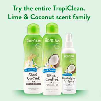 Tropiclean Lime Coconut Shampoo 20oz