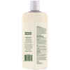 SimpleSource® Flea & Tick Shampoo for Dogs 12oz Bottle