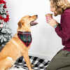 Pearhead "Santa's Little Helper" Dog Bandana