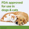 ProZinc Insulin for Cats and Dogs