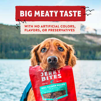 Stella & Chewy's Just Jerky Bites Real Salmon Recipe Dog Treats