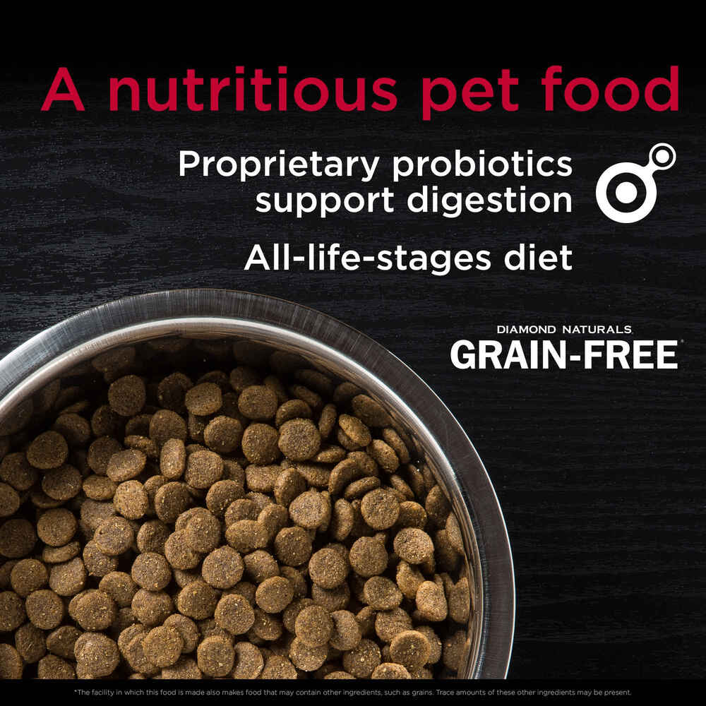 Diamond Naturals Grain-Free Pasture-Raised Beef & Sweet Potato Formula Dry Dog Food