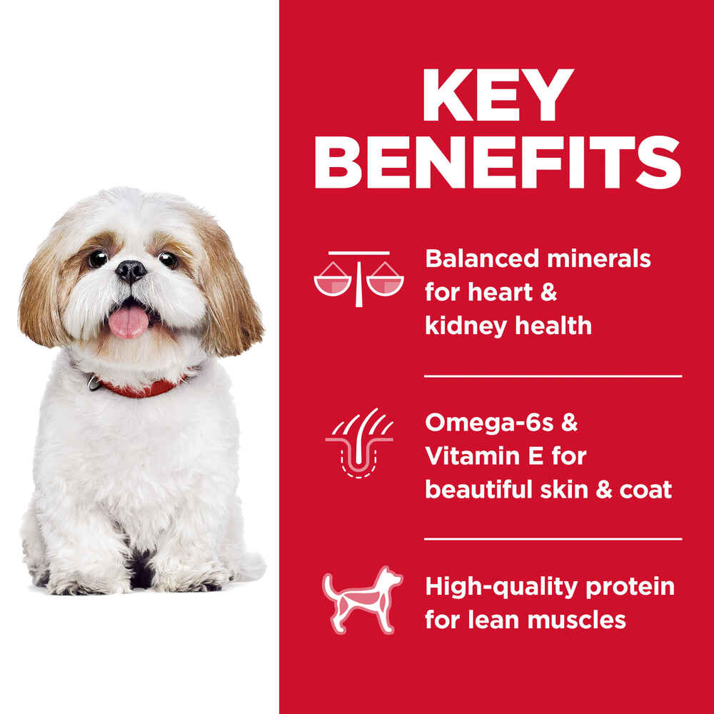 Hill's Science Diet Adult 7+ Small Bites Chicken Meal Barley & Brown Rice Dry Dog Food