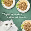 Fancy Feast Medleys Shredded Fare Collection Variety Pack Wet Cat Food 3 oz. Cans - Case of 12