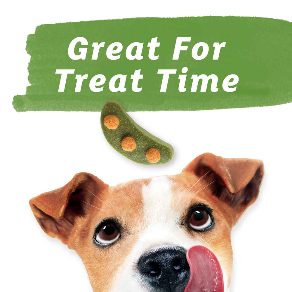 Purina Beneful Baked Delights Snackers with Peanut Butter Dog Treats