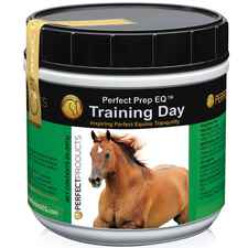 Perfect Prep EQ Training Day-product-tile