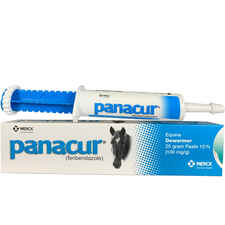 Panacur Paste Equine Dewormer-product-tile