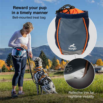 Kurgo Go Stuff It Dog Treat Bag - Coastal Blue