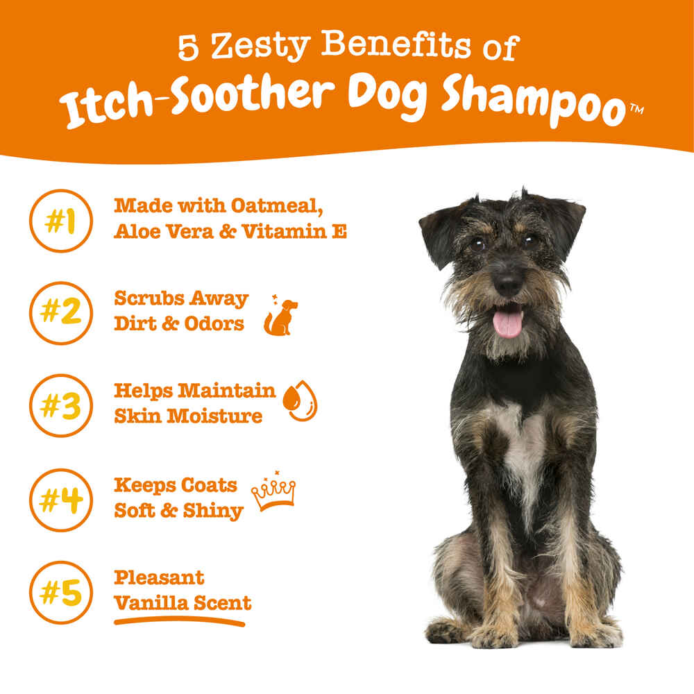Zesty Paws Vanilla Bean Scented Itch Soother Wash for Dogs with Oatmeal, Shea Butter, & Aloe Vera