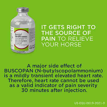 Buscopan Injectable Solution