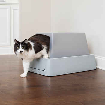PetSafe ScoopFree Crystal Smart Front-Entry Self-Cleaning Cat Litter Box 