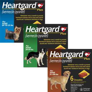 Heartgard Plus Chewables | 1800Petmeds