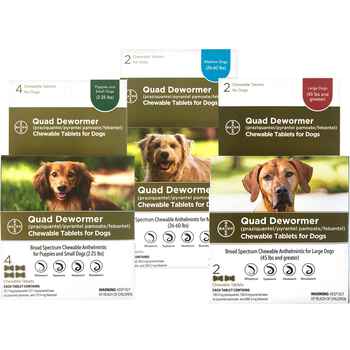 Bayer Quad Dewormer Chewable Tablets for Dogs Medium Dogs 2 ct