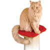SmartCat Ultimate Cat Scratching Post Pad - Pad Only