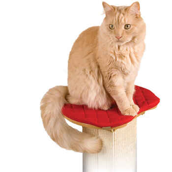SmartCat Ultimate Cat Scratching Post Pad - Pad Only product detail number 1.0