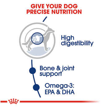 Royal Canin Size Health Nutrition Large Adult Dry Dog Food 30 lb Bag 