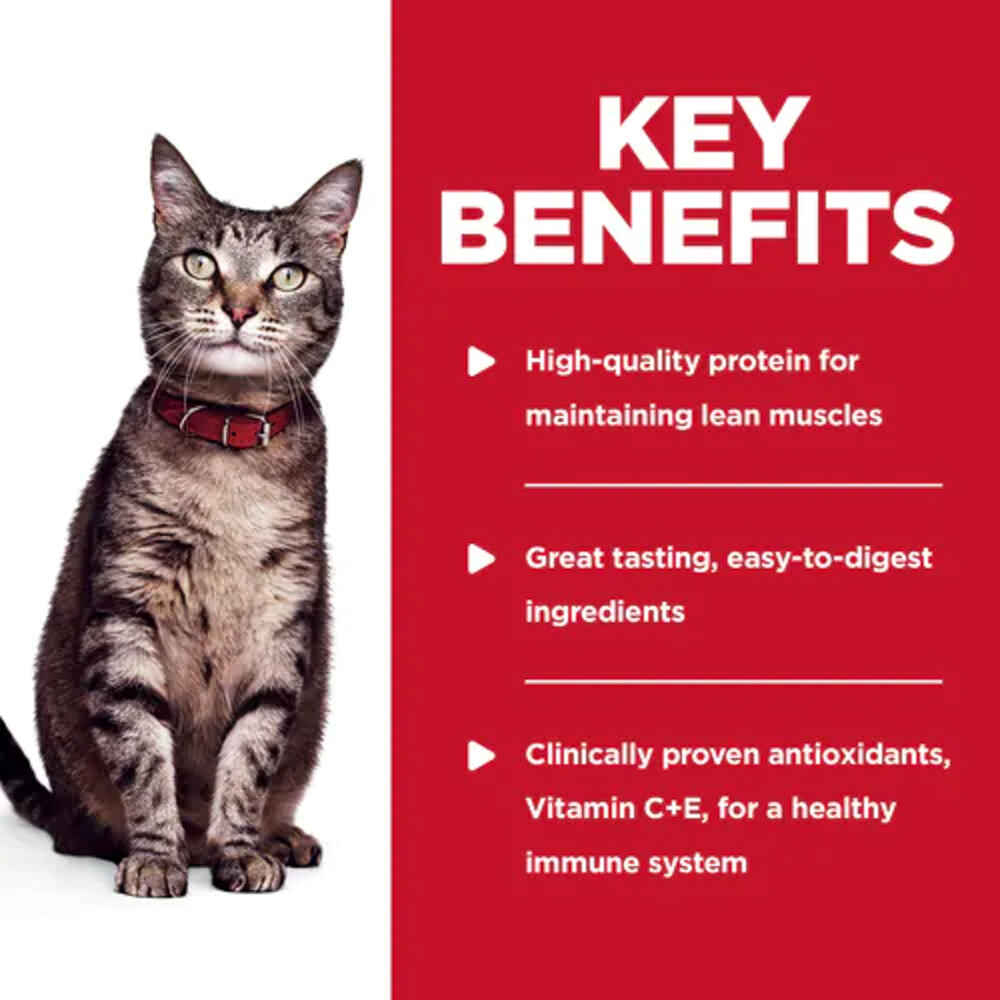 Hill's Science Diet Adult Chicken & Spinach Casserole Wet Cat Food Pouches
