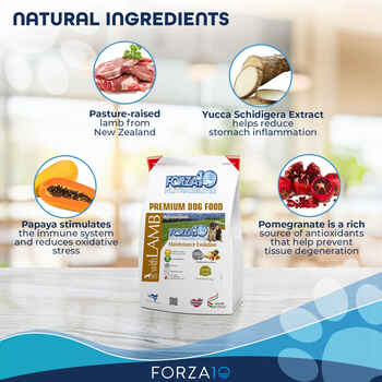 Forza10 Nutraceutic Maintenance Evolution Lamb Dry Dog Food 18 lb Bag