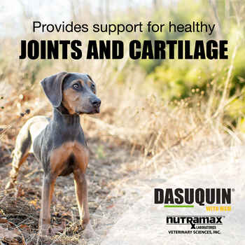 Nutramax Dasuquin Joint Health Supplement - With Glucosamine, Chondroitin, ASU, MSM, Boswellia Serrata Extract, Green Tea Extract Small to Medium Dogs, 150 Chewable Tablets