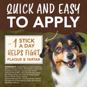 TropiClean Enticers Teeth Cleaning Sticks for Dogs Pb/Honey