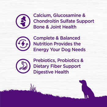 Wellness Complete Health Senior Deboned Chicken & Barley Recipe Dry Dog Food 15 lb Bag
