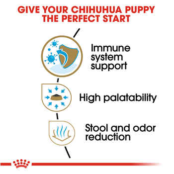 Royal Canin Breed Health Nutrition Chihuahua Puppy Dry Dog Food - 2.5 lb Bag