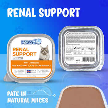 Forza10 Nutraceutic ActiWet Renal Support Lamb Recipe Canned Cat Food 3.5oz Case of 32