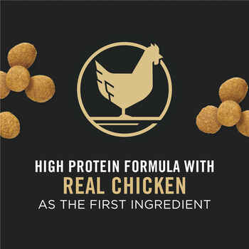 Purina Pro Plan Puppy Large Breed Chicken & Rice Formula Dry Dog Food 18 lb Bag